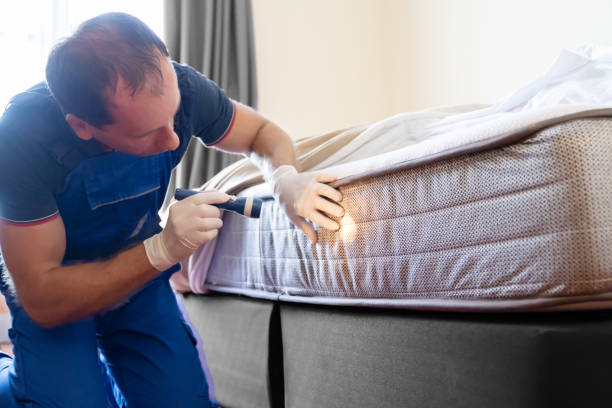 Best Fumigation Services  in Bear Creek, FL